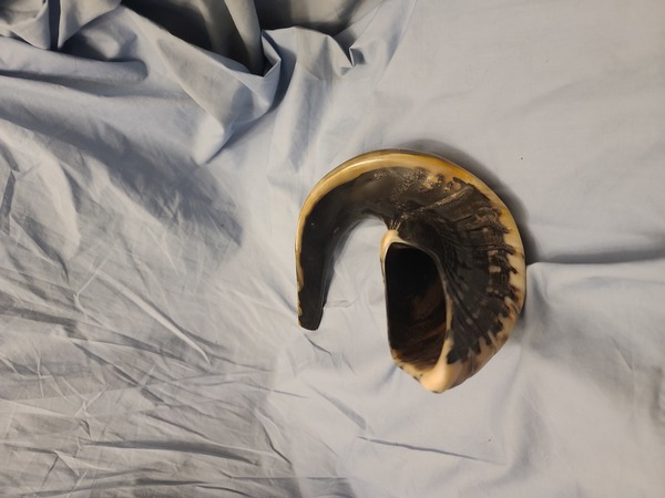 Shofar horn