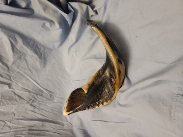 Shofar horn