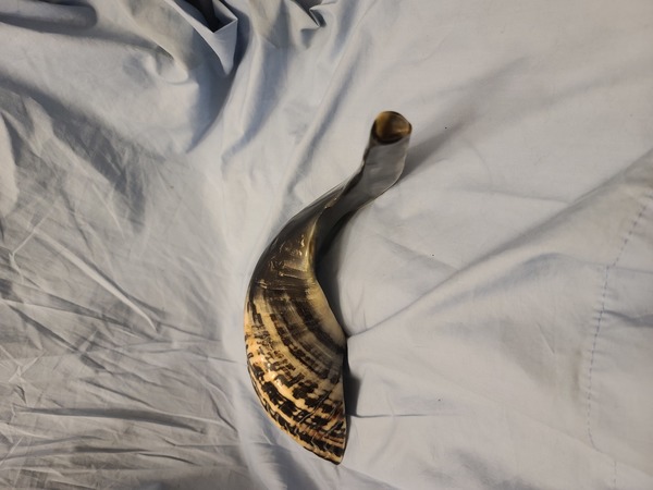 Shofar horn