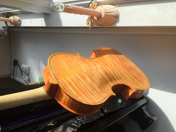 Baroque violin in progress red color coat front