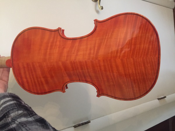 Baroque violin in progress red oil varnish