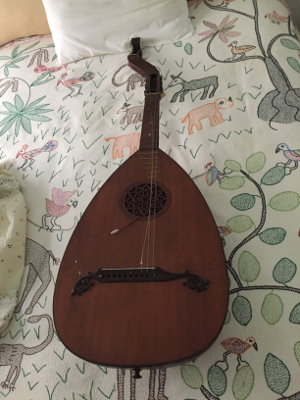 lute-guitar