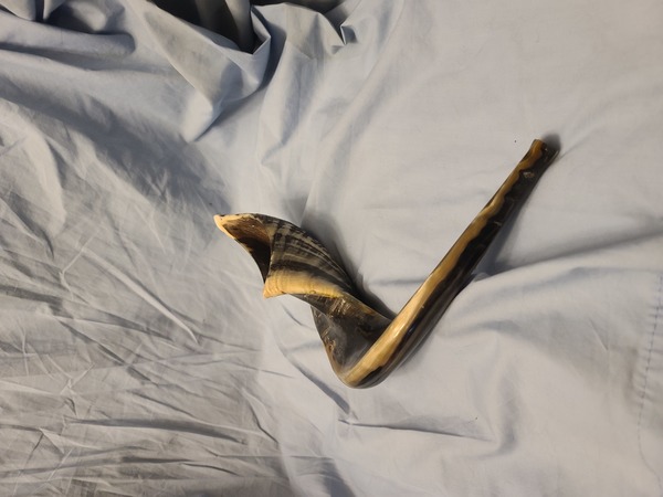 Shofar