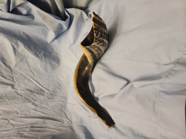 Shofar horn