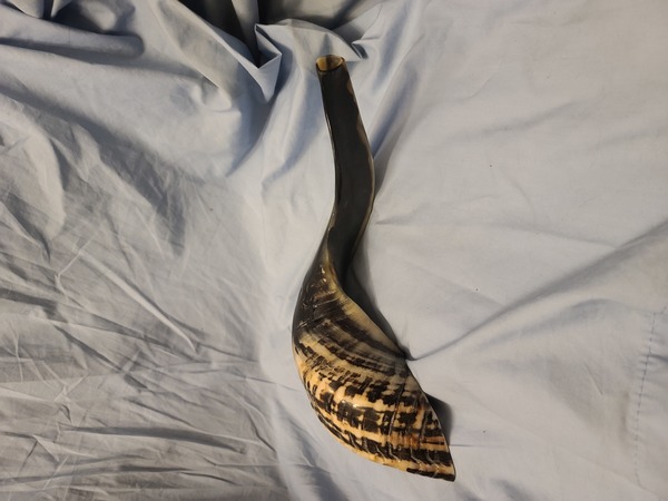 Shofar horn